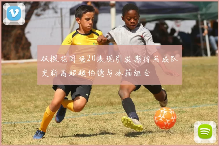 双探花同场20表现引发期待或成队史新高超越伯德与冰箱组合